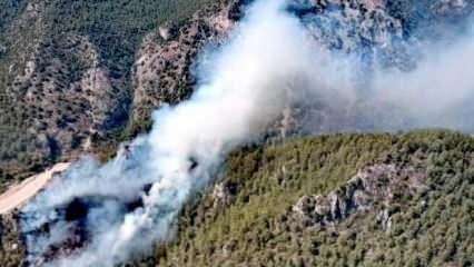 Muğla'da orman yangını! Yangın söndürme uçağı ve 5 helikopter ile müdahale ediliyor