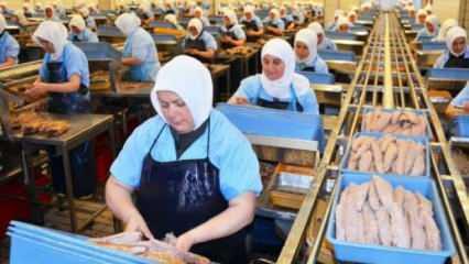 T&uuml;rk şirket Avrupa'daki dev rakibini satın aldı