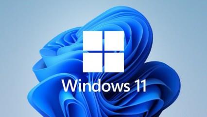 Windows 11'de bilgisayarın çökmesine neden olan sorun giderildi