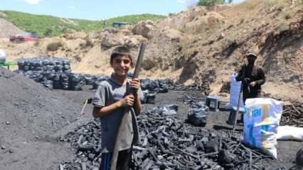 Alın terine kömür karası karışanlar: Mangal kömürü işçileri
