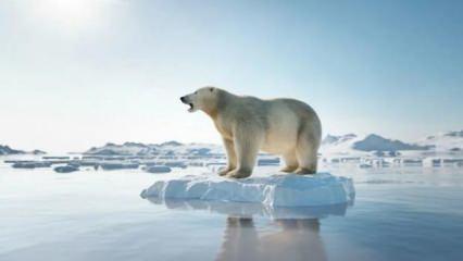 Arktik deniz buzu yakın bir zamanda yok olacak: İşte Dünya'yı bekleyen tehlikeler	