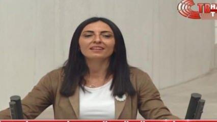 CHP Milletvekili Kayışoğlu Meclis Genel Kurulu'nda türkü söyledi