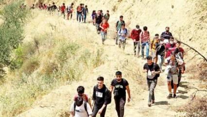 'Afganlar günde 1000 kişilik gruplar halinde Türkiye'ye girmeye başladı' iddiası