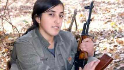 Son dakika: Öldürülen kadın terörist eski HDP İlçe başkanı çıktı!