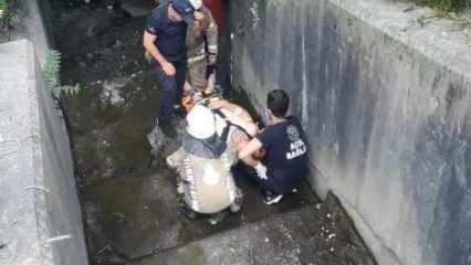 Sultangazi'de ot biçerken su kanalına düşen işçi yaralandı 