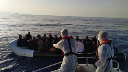Yunanistan unsurları 81 kaçak göçmeni Türkiye'ye sürdü