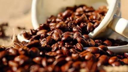 Etiyopya 906 milyon dolarlık kahve ihracatıyla rekor kırdı
