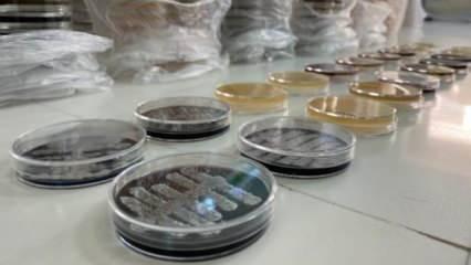 Türk bilim insanları, 6 ülkede 60 yeni tür bakteri keşfetti