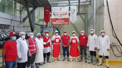 Türk Kızılay, Türkiye ve 21 ülkede kurban kesimlerine başladı