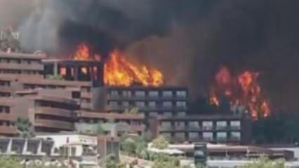 Bodrum'daki orman yangını lüks otele sıçradı: İşte sıcak görüntüler! 