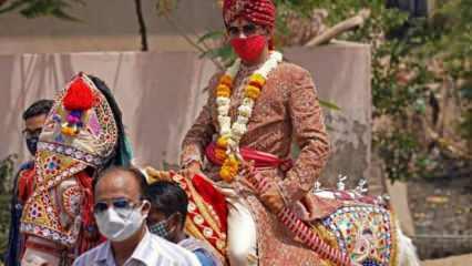Hindistan'da damadı düğünden at kaçırdı