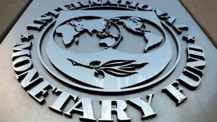 IMF'den 'ayrışma genişliyor' uyarısı