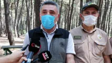 İstanbul Orman Bölge Müdürü'nden yasaklarla ilgili açıklama