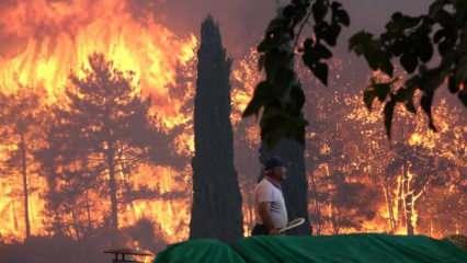 Manavgat'taki orman yangınlarıyla ilgili soruşturma açıldı