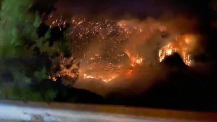 Son dakika haberi! Cumhurbaşkanı Erdoğan açıkladı: Yangın yerleri afet bölgesi ilan edildi