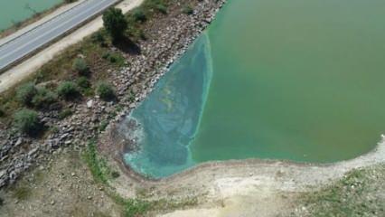 Son dakika haberi: Yeşile dönen Sazlıdere Barajı, su içilemeyecek duruma geldi