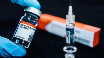 Çin, Sinovac aşısının üçüncü doz etkinlik oranını açıkladı