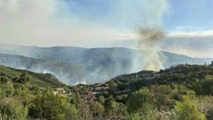 Yangın bölgelerinde 'TOKİ' adımı: Bakanlık çalışmalara başladı