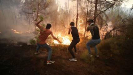 Son dakika: Orman yangınlarına ilişkin dikkat çeken detay! 'Tespit ettik...'