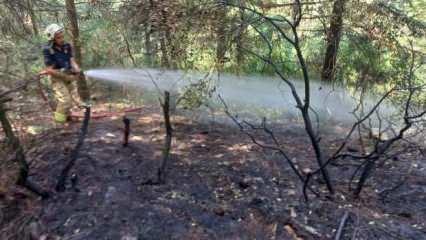 Aydos Ormanı’nda küçük çaplı yangın çıktı