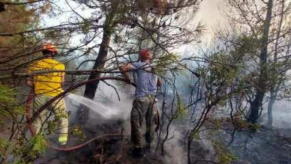 Ezine'de orman yangını çıktı!