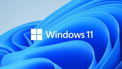 Hackerlar Windows 11 taklidiyle virüsleri yayıyor