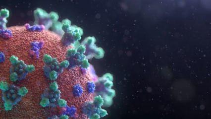 Koronavirüsü tetikleyen klima tehlikesi: Solunum sistemini çökertiyor!