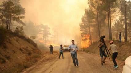 Son dakika: Orman yangınlarına ilişkin bomba açıklama: 10 günlük raporları incelemişler...