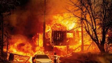 Yunanistan'daki yangın felaketi büyüyor