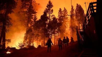 California'da yangının yalnızca yüzde 30'u kontrol altına alınabildi