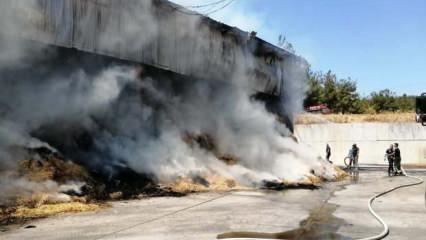Manisa’da korkunç yangın! 150 ton saman yandı 