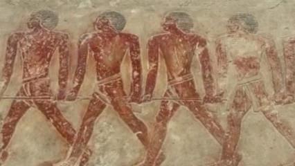 Sakkara'nın 4 bin yıllık duvar resimleri ihtişamını koruyor