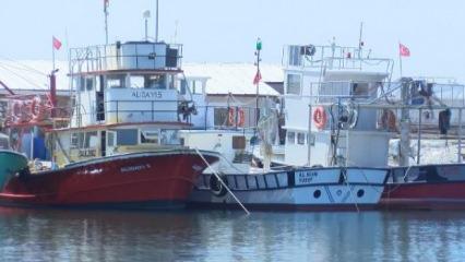 Uzmanlar ve balıkçılar arasında tartışma: Marmara Denizi'nde av sezonu ertelenmeli mi?