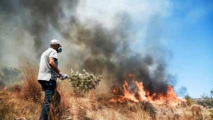 Atina'da 4 yerleşim yeri yangınlar nedeniyle boşaltıldı