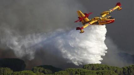 Fransa'da orman yangını kontrol altına alındı
