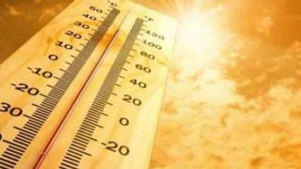 Aşırı sıcağın etkili olduğu 101 gün için 20 kritik uyarı
