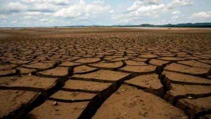 Kazakistan’da iklim krizi: 178 bin hektar tahıl alanı kurudu
