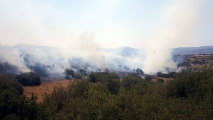 Son Dakika: Kula'da makilik yangını ormana sıçradı!