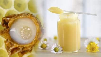Tam bir antioksidan deposu: Arı sütü! Kırışıklıkları engelliyor, cilde iyi geliyor