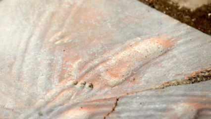 Assos'ta bir bebeğe ait 1300 yıllık ayak izleri bulundu