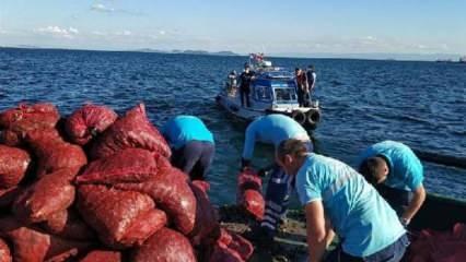 Bayrampaşa Sebze ve Meyve Hali' nde kaçak avlanan 6 ton midye yakalandı