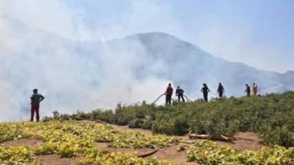 Bitlis'teki örtü yangınına müdahale sürüyor