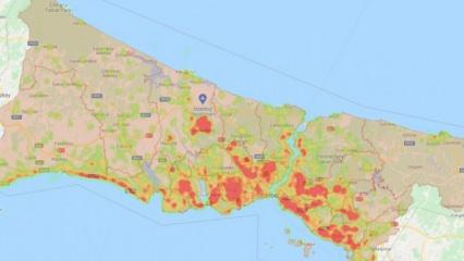 İstanbul'da sivrisinek haritası çıkarıldı: En çok ürediği noktalar saptandı