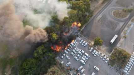 İsrail'de parkta çıkan yangın araçlara sıçradı