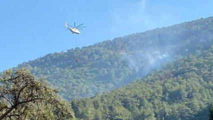 Son Dakika: Muğla'da 2 noktada orman yangını çıktı