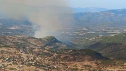 Son dakika: Balıkesir'de orman yangını