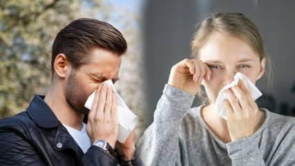 Alerjik hastalıklar sonbaharda artışa geçiyor!