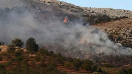Ankara'da orman yangını kontrol altına alındı
