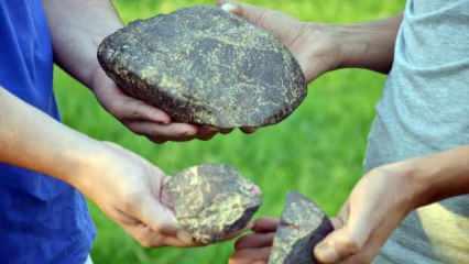 Aydın'da kır gezisi yapan iki arkadaşın bulduğu taşın meteor olduğu saptandı