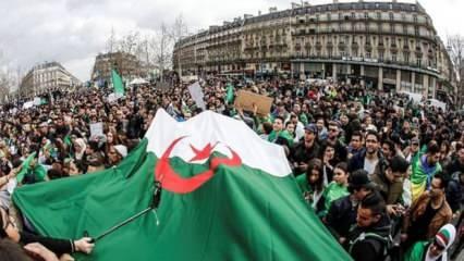 Cezayir'de  eski rejim partisi FLN'e partililerden baskın 